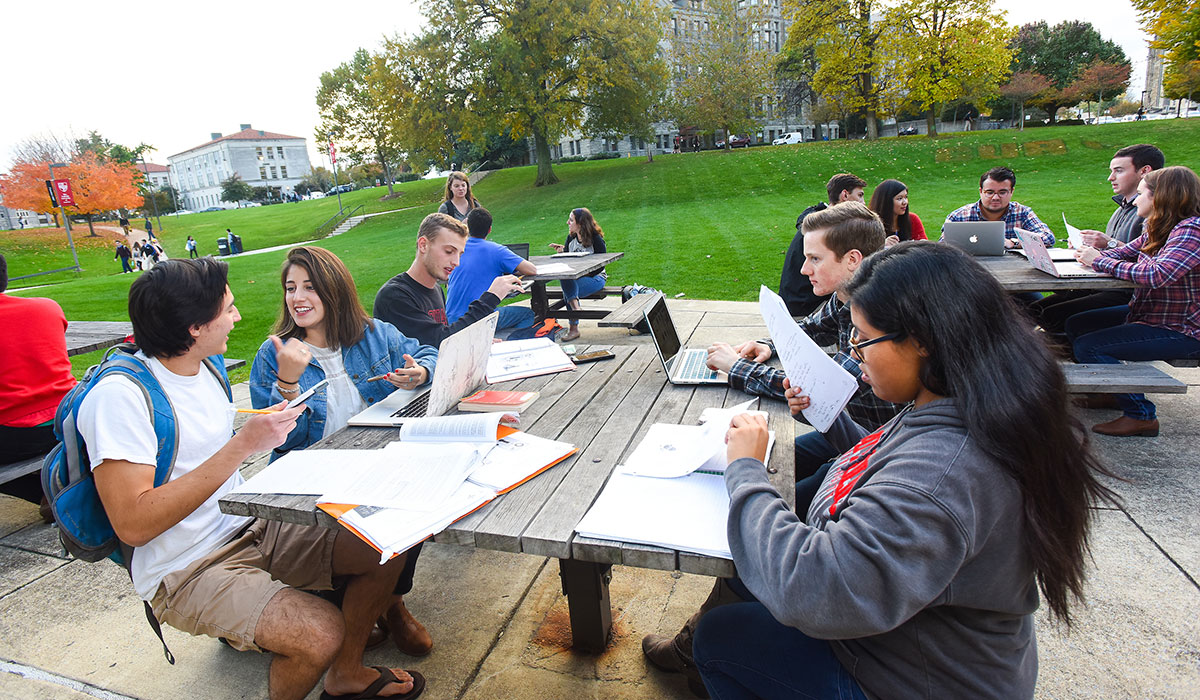 Students studying outside